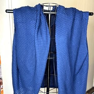 Blue Cardigan
